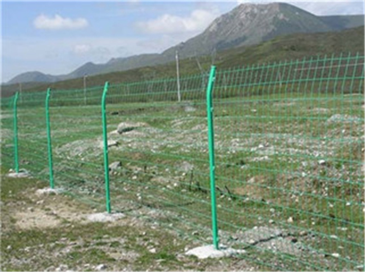 自然保護(hù)區(qū)用鐵絲網(wǎng)圍欄